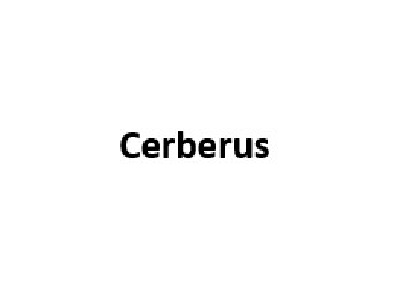 Συμμετοχή σε Κοινοπραξία που προέβη σε κάλυψη Ομολογιών συνολικού ύψους €260 εκ. εκδόσεως οχήματος ειδικού σκοπού της Cerberus για την εξαγορά χαρτοφυλακίου μη εξυπηρετούμενων δανείων και ακινήτων (χαρτοφυλάκιο Sky) στην Κύπρο