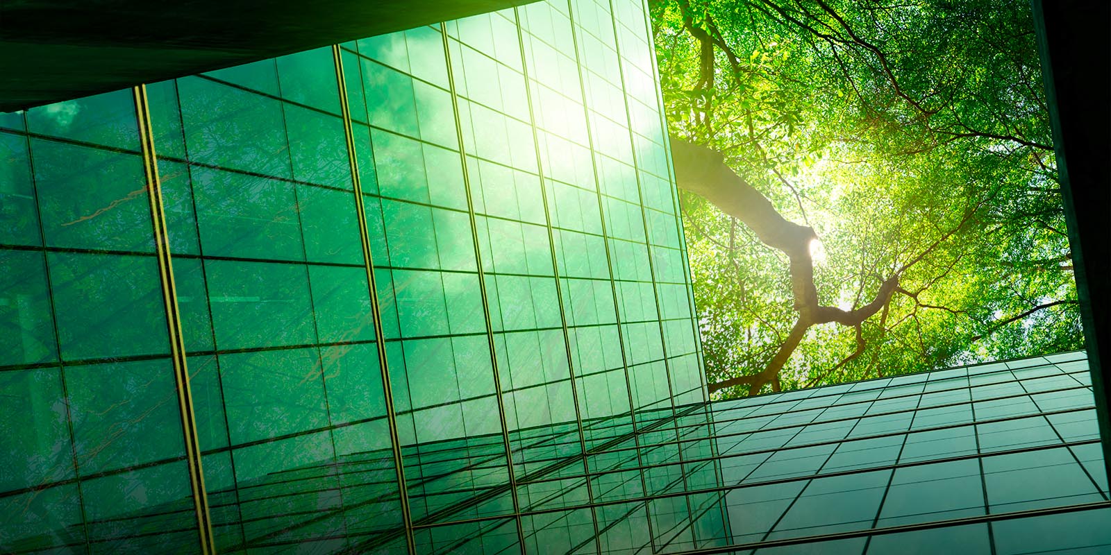 Green buildings and hybrid vehicles